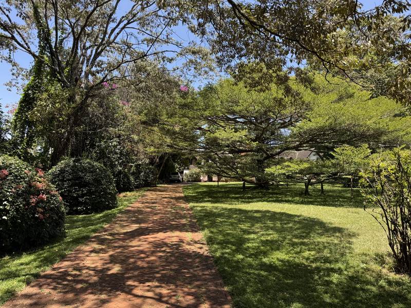 Serengeti Manor - Gallery 16